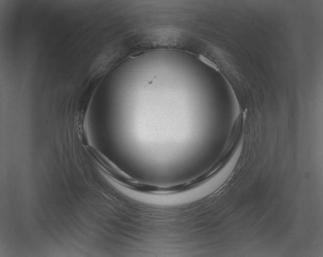 X0000083970172200702232027