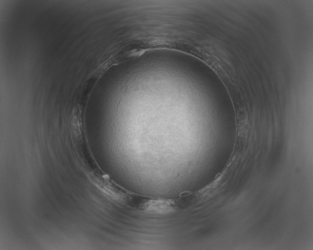 X0000083970179200702232027