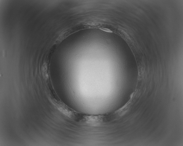 X0000083970187200702232028