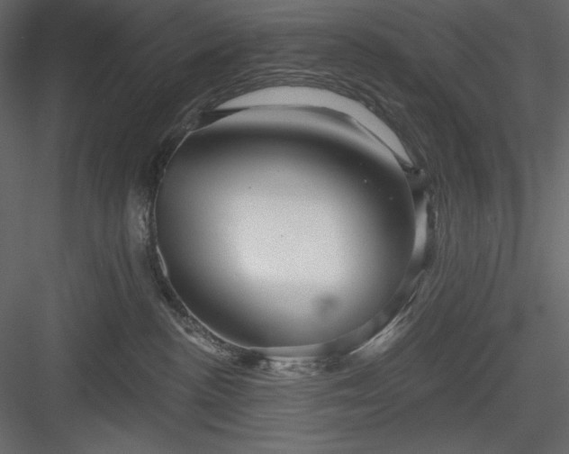 X0000083970188200702232028