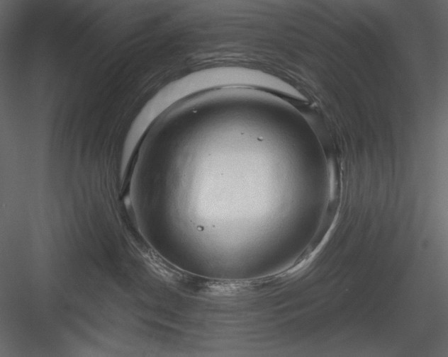 X0000083970190200702232028