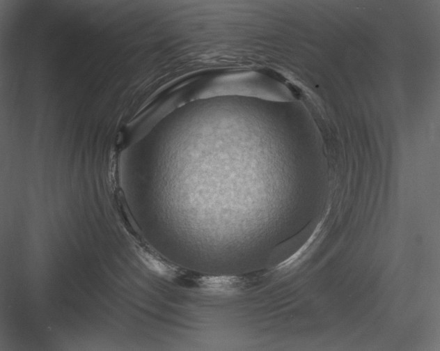 X0000083970192200702232028
