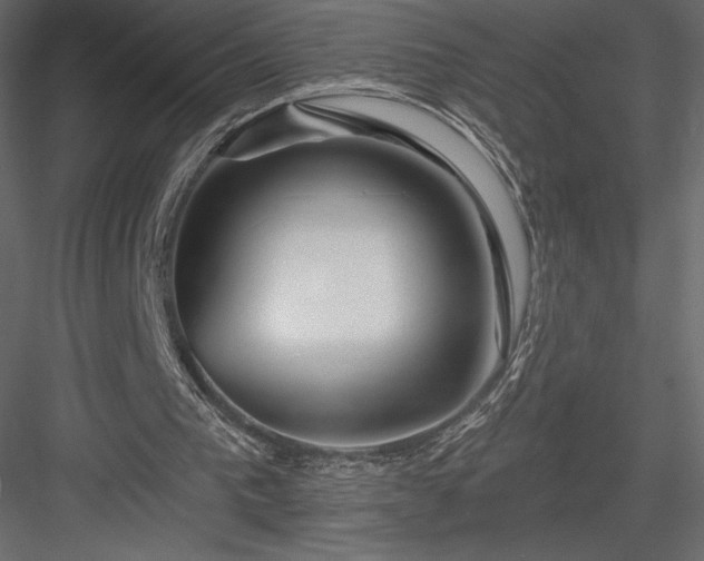 X0000083970193200702232027