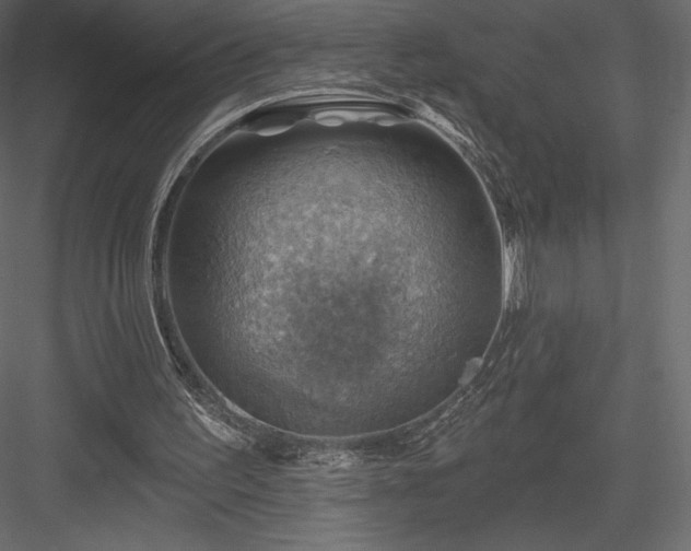 X0000083970195200702232027