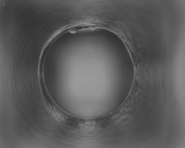X0000083970196200702232027