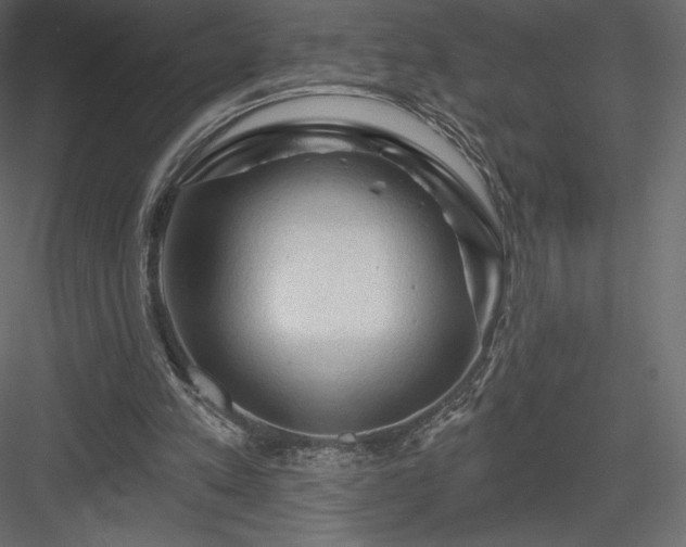 X0000083970197200702232027