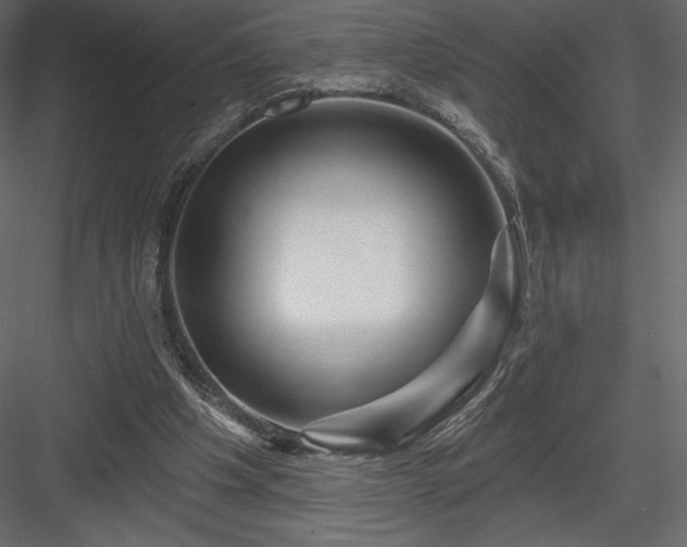 X0000083970201200702232027
