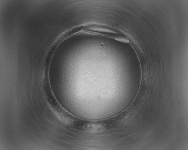 X0000083970208200702232027