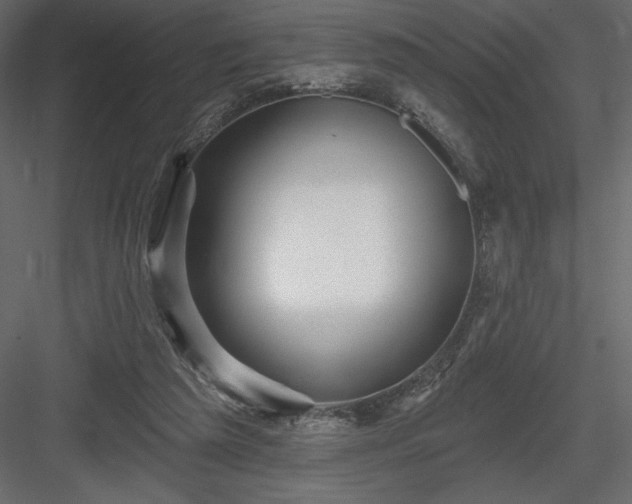 X0000083970209200702232027