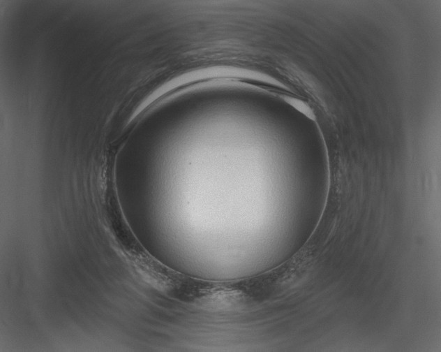 X0000083970210200702232027