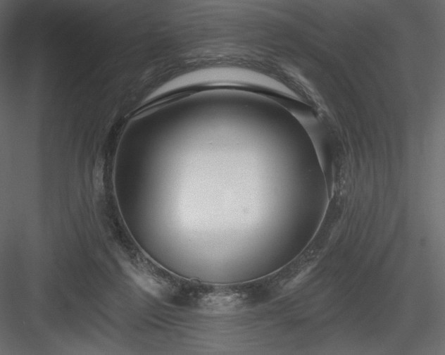 X0000083970213200702232027
