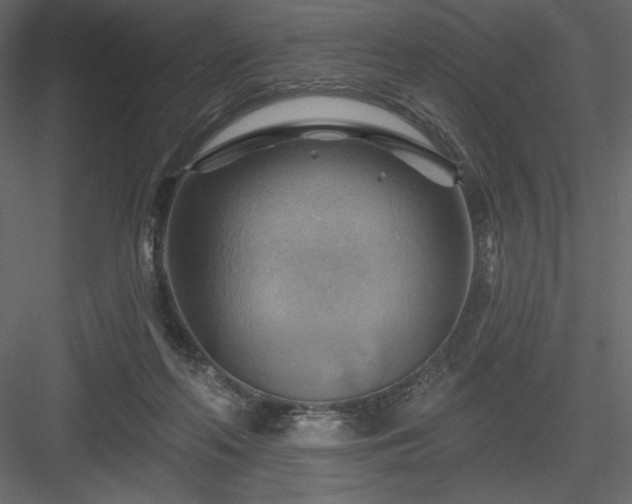 X0000083970214200702232026