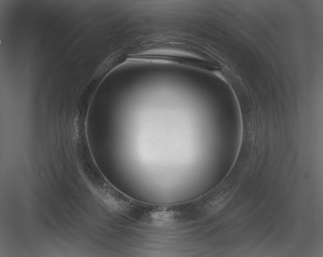 X0000083970216200702232026