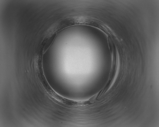 X0000083970217200702232026