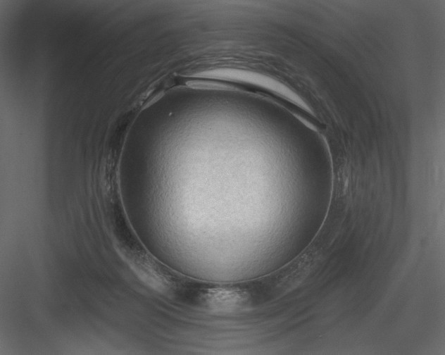 X0000083970218200702232026