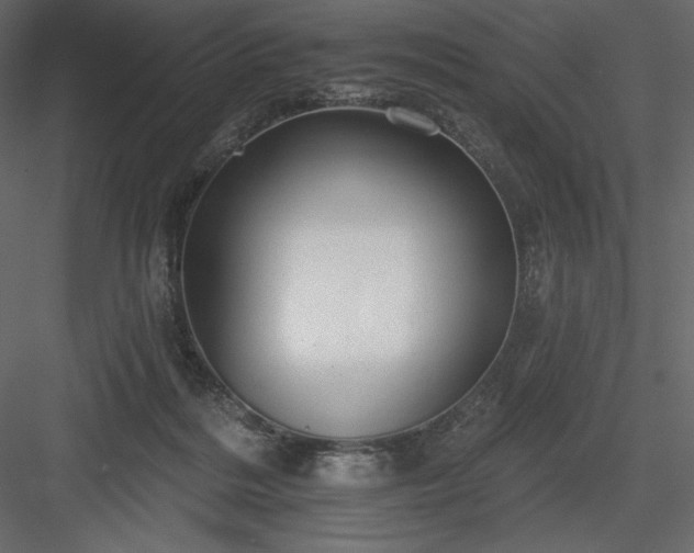 X0000083970220200702232026