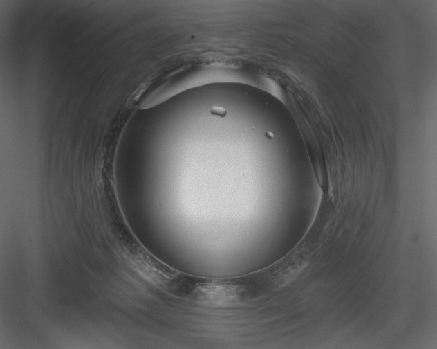 X0000083970221200702232026