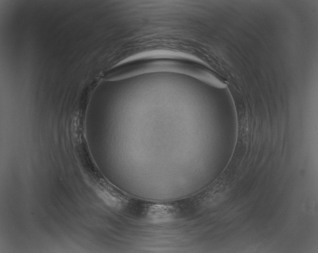 X0000083970222200702232026