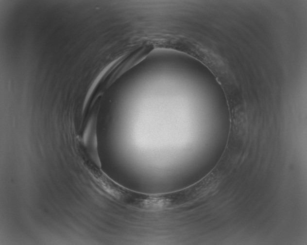 X0000083970225200702232026