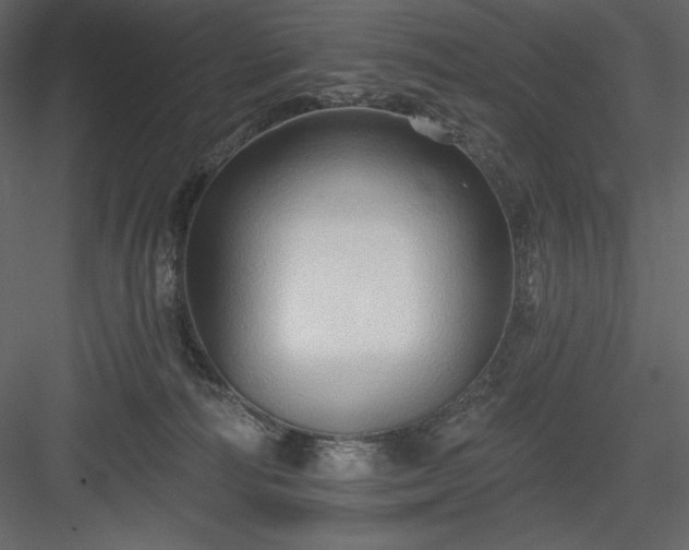 X0000083970226200702232026