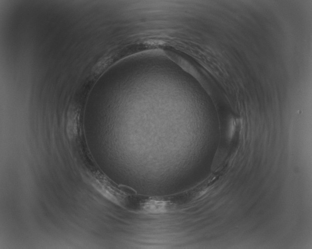 X0000083970227200702232026