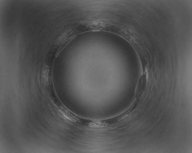 X0000083970231200702232026