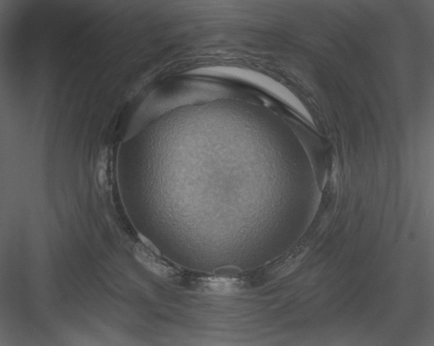 X0000083970233200702232026