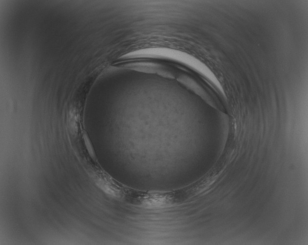 X0000083970235200702232026
