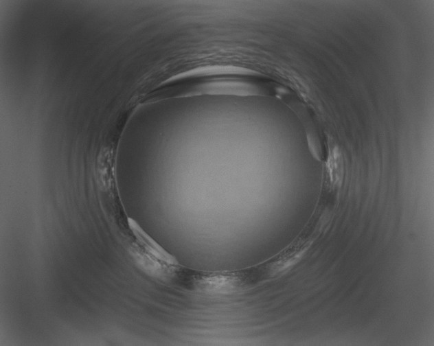 X0000083970237200702232026