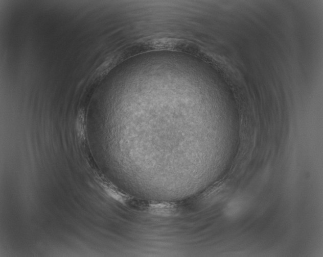 X0000083970240200702232026