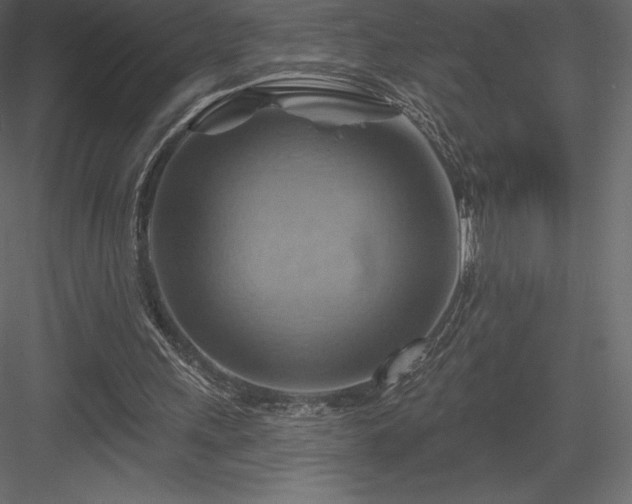 X0000083970243200702232025