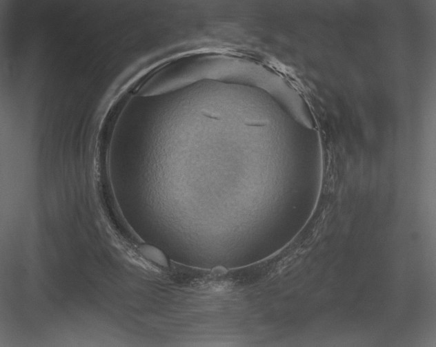 X0000083970247200702232025