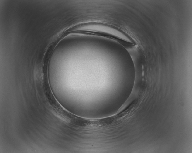 X0000083970252200702232025