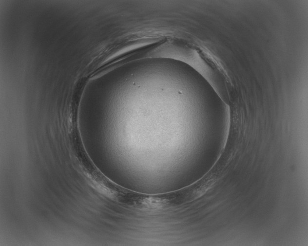 X0000083970261200702232026