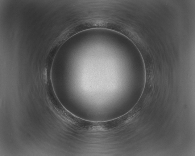 X0000083970262200702232026