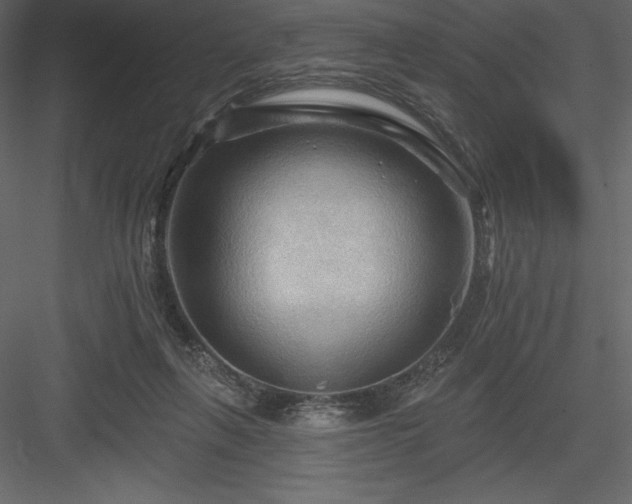 X0000083970263200702232026