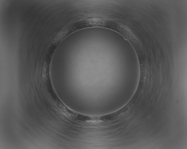 X0000083970266200702232026