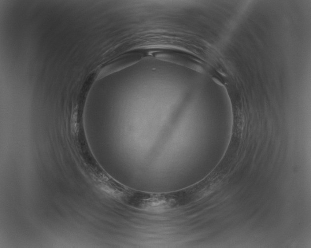 X0000083970267200702232026