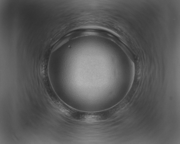 X0000083970268200702232026