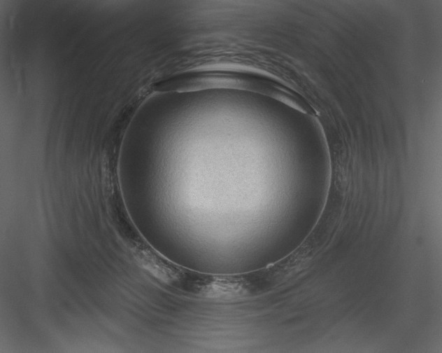 X0000083970270200702232026