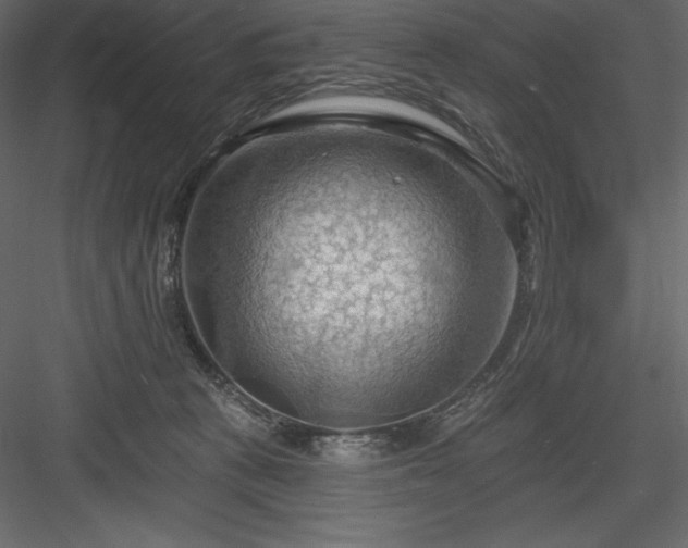 X0000083970273200702232026