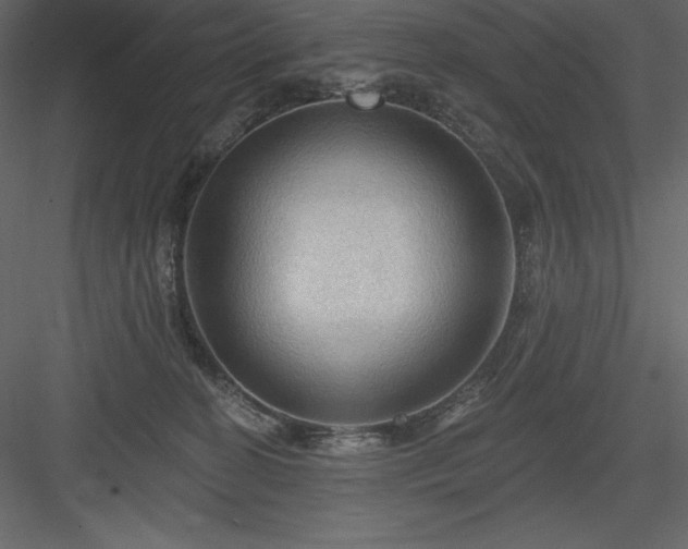 X0000083970274200702232026
