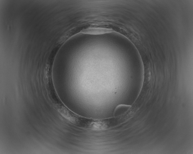 X0000083970275200702232026