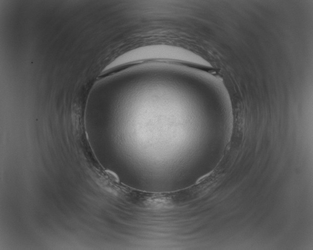 X0000083970283200702232026
