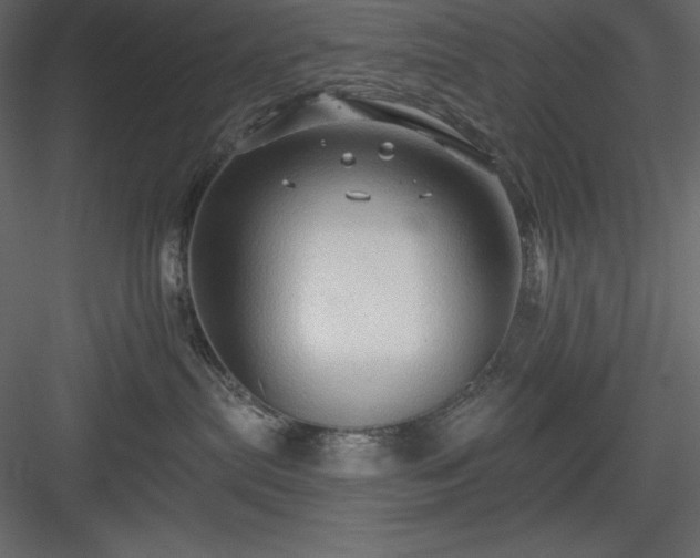 X0000083970287200702232026