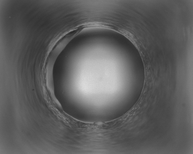 X0000083970289200702232025
