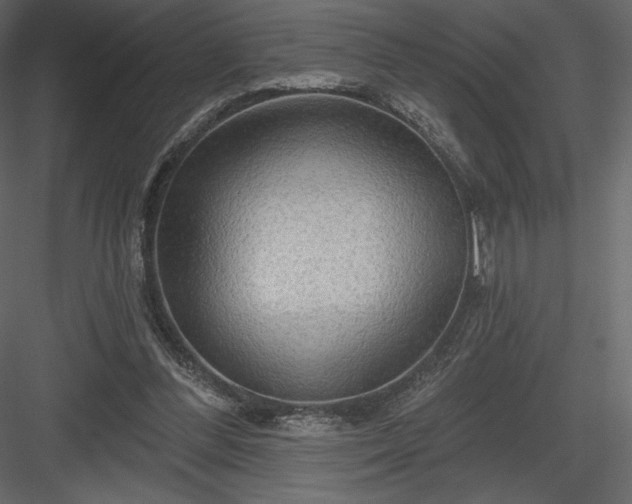 X0000083970300200702232025