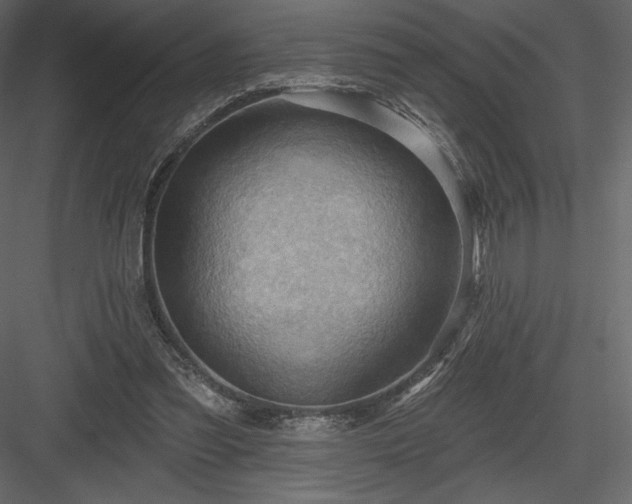 X0000083970301200702232025
