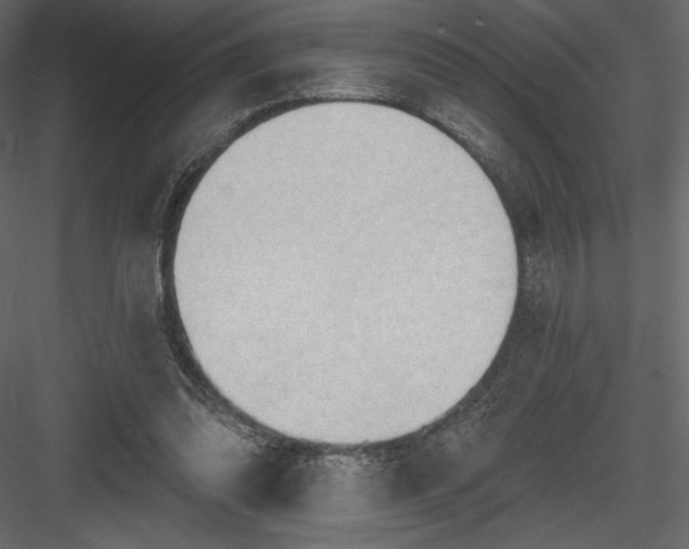 X0000083970302200702232025