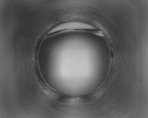 X0000083970306200702232025
